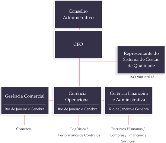 Company Structure